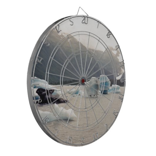 Blaueis Dartscheibe (Vorderseite Links)