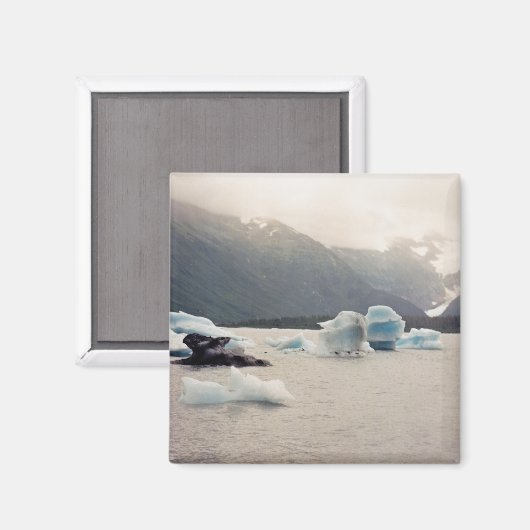 Blaueis Magnet (Vorderseite/Rückseite)