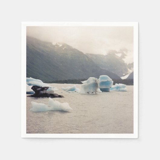 Blaueis Serviette (Vorderseite)