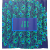 BLAUENFUSSFÜHRER IN AQUAMARINEN BLAUEN DUSCHVORHANG (Vorderseite)