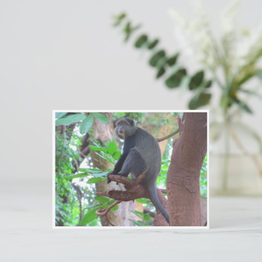 Blauer Affe Postkarte (Stehend Vorderseite)