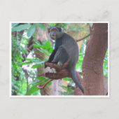 Blauer Affe Postkarte (Vorderseite)