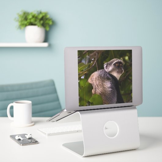 Blauer Affe, Sansibar Aufkleber (Laptop auf Schreibtisch)