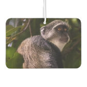 Blauer Affe, Sansibar Autolufterfrischer (Vorderseite)