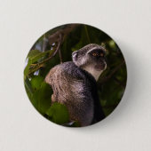Blauer Affe, Sansibar Button (Vorderseite)