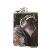 Blauer Affe, Sansibar Flachmann (Links)
