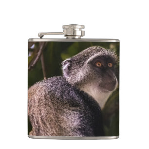 Blauer Affe, Sansibar Flachmann
