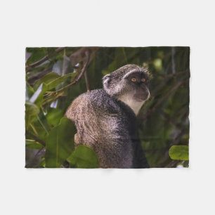 Blauer Affe, Sansibar Fleecedecke