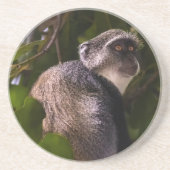Blauer Affe, Sansibar Getränkeuntersetzer (Vorne)