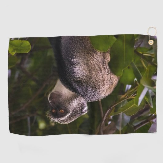 Blauer Affe, Sansibar Golfhandtuch (Horizontal)