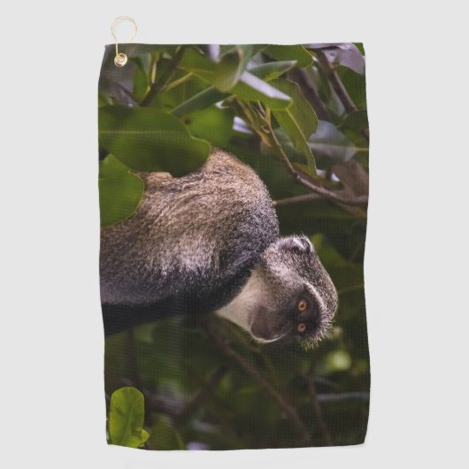 Blauer Affe, Sansibar Golfhandtuch (Vorderseite)