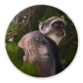 Blauer Affe, Sansibar Keramikknauf (Vorderseite)