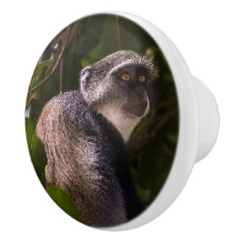 Blauer Affe, Sansibar Keramikknauf