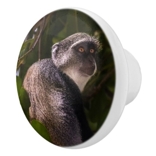 Blauer Affe, Sansibar Keramikknauf (Rechts)