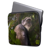 Blauer Affe, Sansibar Laptopschutzhülle (Vorderseite Links)