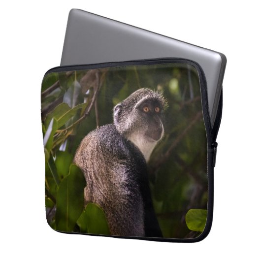 Blauer Affe, Sansibar Laptopschutzhülle (Vorderseite Links)