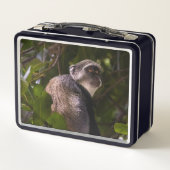 Blauer Affe, Sansibar Metall Brotdose (Rückseite)