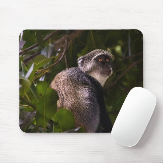 Blauer Affe, Sansibar Mousepad (Mit Mouse)