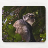 Blauer Affe, Sansibar Mousepad (Vorne)