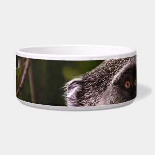 Blauer Affe, Sansibar Napf