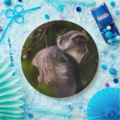 Blauer Affe, Sansibar Pappteller (Party)