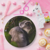 Blauer Affe, Sansibar Pappteller (Party)