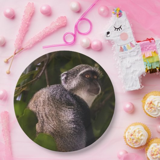 Blauer Affe, Sansibar Pappteller (Party)