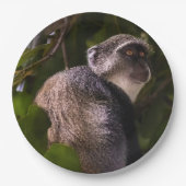 Blauer Affe, Sansibar Pappteller (Vorderseite)