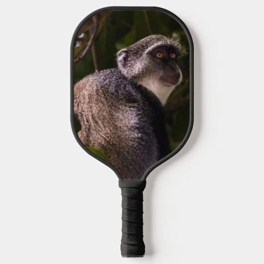 Blauer Affe, Sansibar Pickleball Schläger (Vorderseite)