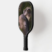 Blauer Affe, Sansibar Pickleball Schläger (Links)