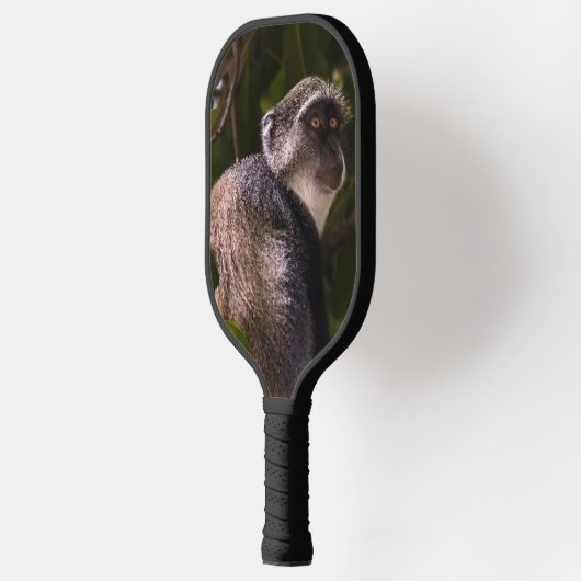 Blauer Affe, Sansibar Pickleball Schläger (Links)
