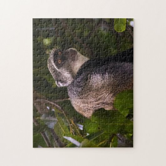 Blauer Affe, Sansibar Puzzle (Vertikal)