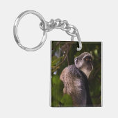 Blauer Affe, Sansibar Schlüsselanhänger (Vorderseite links)