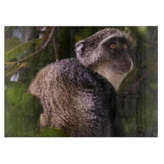 Blauer Affe, Sansibar Schneidebrett (Vorderseite)