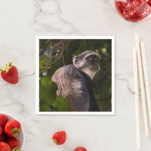 Blauer Affe, Sansibar Serviette