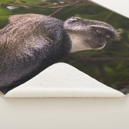 Blauer Affe, Sansibar Sherpadecke