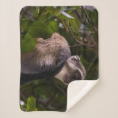 Blauer Affe, Sansibar Sherpadecke (Vorderseite)