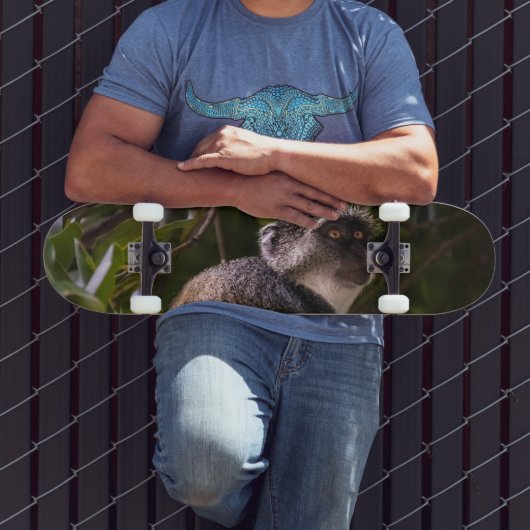 Blauer Affe, Sansibar Skateboard (Außenbereich 3)
