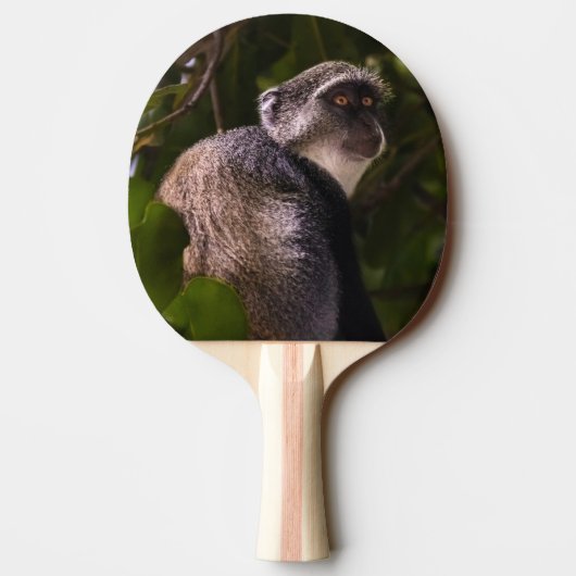 Blauer Affe, Sansibar Tischtennis Schläger (Rückseite)