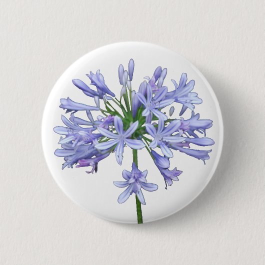 Blauer Agapanthus Button (Vorderseite)