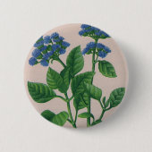 Blauer ageratum button (Vorderseite)