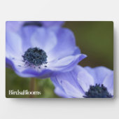 Blauer Anemone Fotoplatte (Vorderseite)