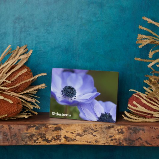 Blauer Anemone Fotoplatte (Seite)