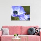 Blauer Anemone Leinwanddruck (Insitu (Wohnzimmer))