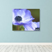 Blauer Anemone Leinwanddruck (Insitu (Holzboden))