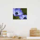 Blauer Anemone Poster (Küche)