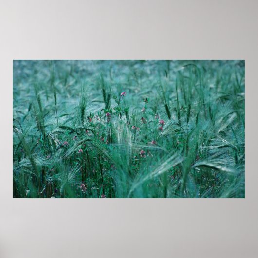 Blauer Atemzug Poster (Vorne)
