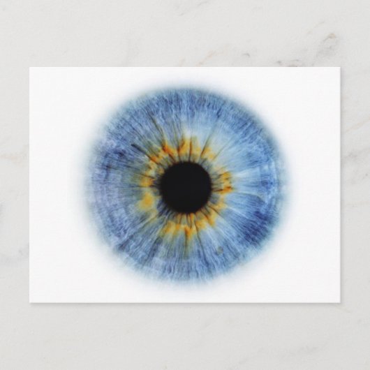 Blauer Augapfel Postkarte (Vorderseite)