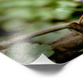 Blauer Bär Fotodruck (Ecke)