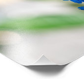 Blauer Besuch einer Biene (Mittel: 12" x 12") Fotodruck (Ecke)